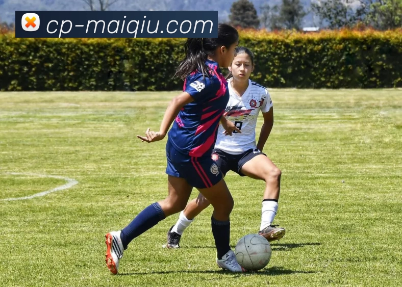 买球赛事预测发展历程